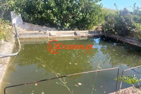 Villa i Tavira, Faro, Tavira - € 750.000 | Ref: 3601249 - foto 17