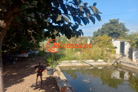 Villa i Tavira, Faro, Tavira - € 750.000 | Ref: 3601249 - foto 19
