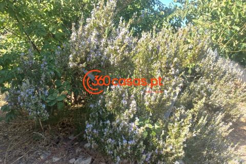 Villa i Tavira, Faro, Tavira - € 750.000 | Ref: 3601249 - foto 20