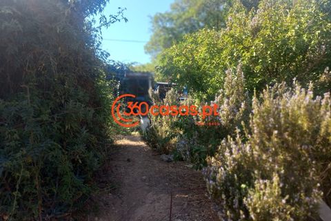 Villa i Tavira, Faro, Tavira - € 750.000 | Ref: 3601249 - foto 21