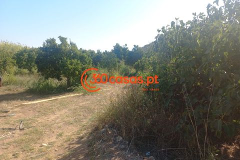 Villa i Tavira, Faro, Tavira - € 750.000 | Ref: 3601249 - foto 34