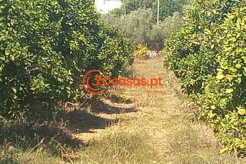 Villa i Tavira, Faro, Tavira - € 750.000 | Ref: 3601249 - foto 26