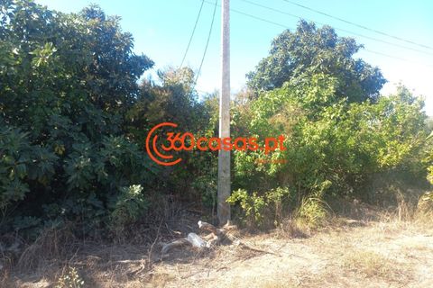 Villa i Tavira, Faro, Tavira - € 750.000 | Ref: 3601249 - foto 35