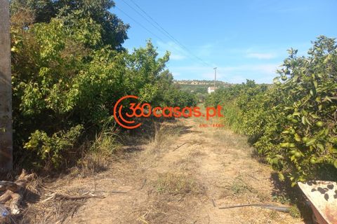 Villa i Tavira, Faro, Tavira - € 750.000 | Ref: 3601249 - foto 36