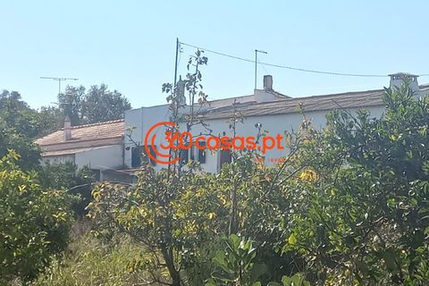 Villa i Tavira, Faro, Tavira - € 750.000 | Ref: 3601249 - foto 37