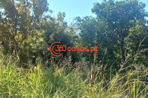 Villa i Tavira, Faro, Tavira - € 750.000 | Ref: 3601249 - foto 38