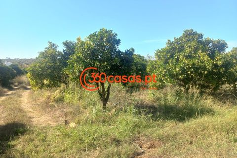 Villa i Tavira, Faro, Tavira - € 750.000 | Ref: 3601249 - foto 39