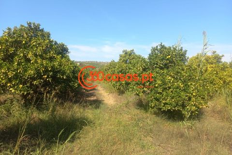 Villa i Tavira, Faro, Tavira - € 750.000 | Ref: 3601249 - foto 40