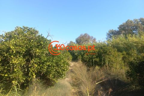 Villa i Tavira, Faro, Tavira - € 750.000 | Ref: 3601249 - foto 41