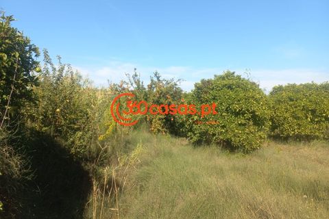Villa i Tavira, Faro, Tavira - € 750.000 | Ref: 3601249 - foto 42