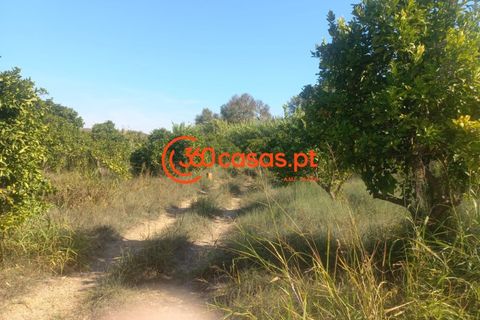 Villa i Tavira, Faro, Tavira - € 750.000 | Ref: 3601249 - foto 44