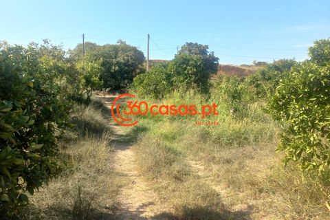 Villa i Tavira, Faro, Tavira - € 750.000 | Ref: 3601249 - foto 45