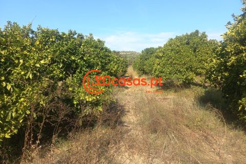 Villa i Tavira, Faro, Tavira - € 750.000 | Ref: 3601249 - foto 46