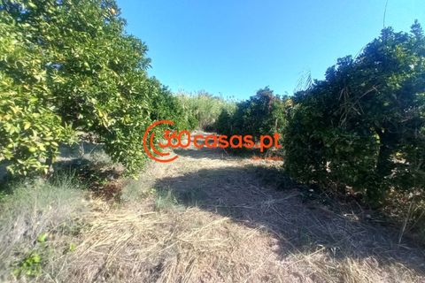 Villa i Tavira, Faro, Tavira - € 750.000 | Ref: 3601249 - foto 47