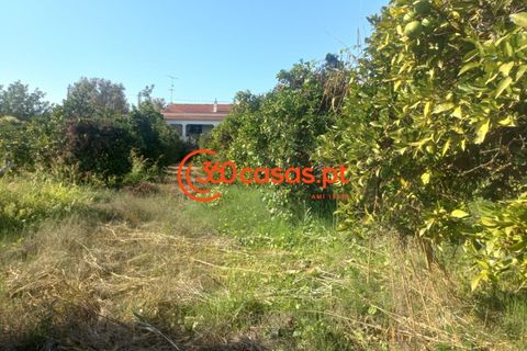 Villa i Tavira, Faro, Tavira - € 750.000 | Ref: 3601249 - foto 48
