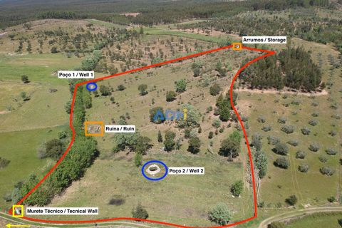 Terra a Penamacor, Castelo Branco, Penamacor - € 32.500 | Ref: ADN22076 - foto 2