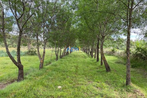 Terra a Penamacor, Castelo Branco, Penamacor - € 32.500 | Ref: ADN22076 - foto 3