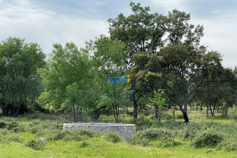 Terra a Penamacor, Castelo Branco, Penamacor - € 32.500 | Ref: ADN22076 - foto 4