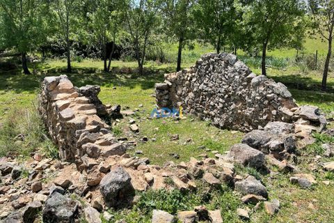 Terra a Penamacor, Castelo Branco, Penamacor - € 32.500 | Ref: ADN22076 - foto 5