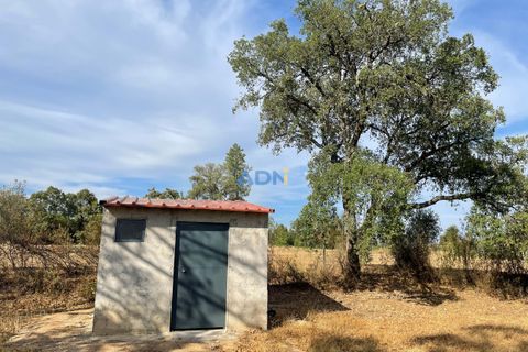 Terra a Penamacor, Castelo Branco, Penamacor - € 32.500 | Ref: ADN22076 - foto 6