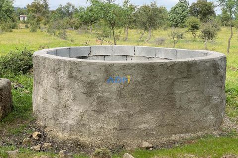 Terra a Penamacor, Castelo Branco, Penamacor - € 32.500 | Ref: ADN22076 - foto 7