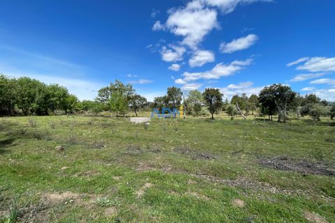 Terra a Penamacor, Castelo Branco, Penamacor - € 32.500 | Ref: ADN22076 - foto 8