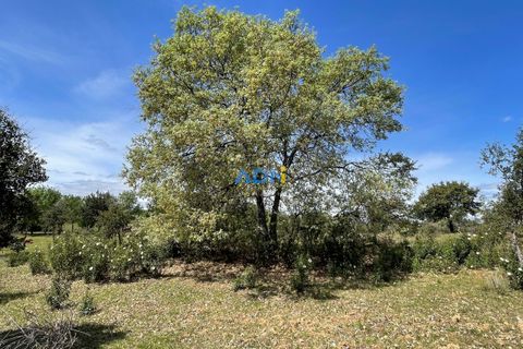 Terra a Penamacor, Castelo Branco, Penamacor - € 32.500 | Ref: ADN22076 - foto 10