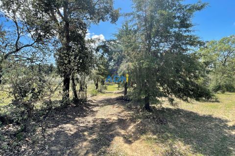 Terra a Penamacor, Castelo Branco, Penamacor - € 32.500 | Ref: ADN22076 - foto 11