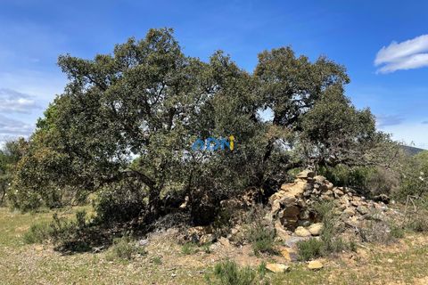 Terra a Penamacor, Castelo Branco, Penamacor - € 32.500 | Ref: ADN22076 - foto 12