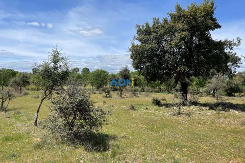Terra a Penamacor, Castelo Branco, Penamacor - € 32.500 | Ref: ADN22076 - foto 13