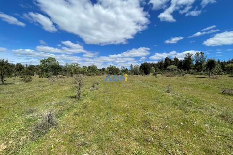 Terra a Penamacor, Castelo Branco, Penamacor - € 32.500 | Ref: ADN22076 - foto 14