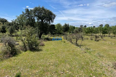 Terra a Penamacor, Castelo Branco, Penamacor - € 32.500 | Ref: ADN22076 - foto 16