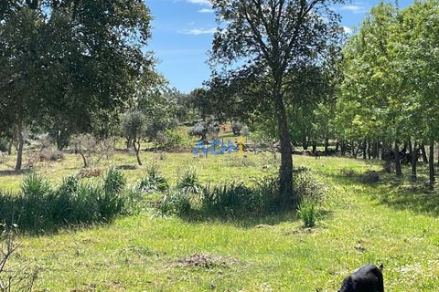 Terra a Penamacor, Castelo Branco, Penamacor - € 32.500 | Ref: ADN22076 - foto 17