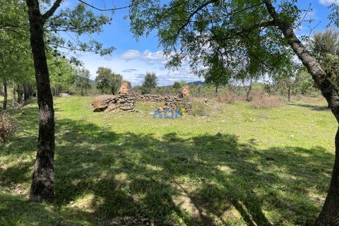 Terra a Penamacor, Castelo Branco, Penamacor - € 32.500 | Ref: ADN22076 - foto 18