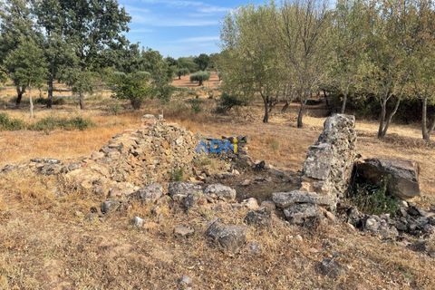 Terra a Penamacor, Castelo Branco, Penamacor - € 32.500 | Ref: ADN22076 - foto 20