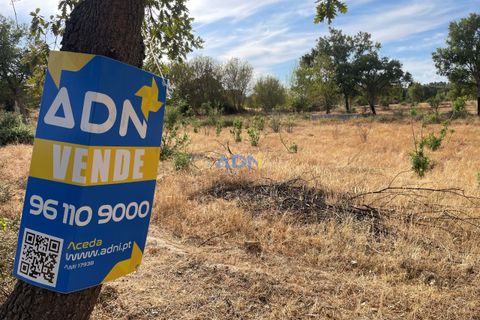 Terra a Penamacor, Castelo Branco, Penamacor - € 32.500 | Ref: ADN22076 - foto 21