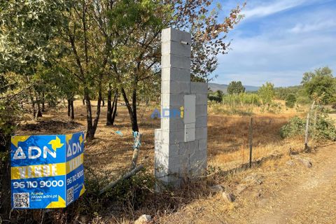 Terra a Penamacor, Castelo Branco, Penamacor - € 32.500 | Ref: ADN22076 - foto 22