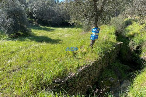 Helårsgrund i Castelo Branco, Castelo Branco, Castelo Branco - € 29.000 | Ref: 124022 - foto 1