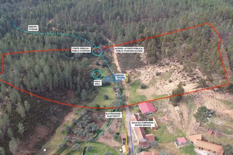 Helårsgrund i Castelo Branco, Castelo Branco, Castelo Branco - € 29.000 | Ref: 124022 - foto 3