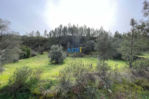 Helårsgrund i Castelo Branco, Castelo Branco, Castelo Branco - € 29.000 | Ref: 124022 - foto 5