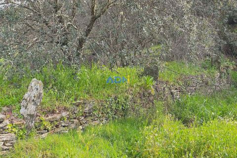 Helårsgrund i Castelo Branco, Castelo Branco, Castelo Branco - € 29.000 | Ref: 124022 - foto 7