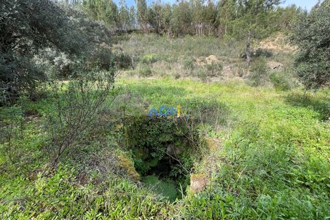 Helårsgrund i Castelo Branco, Castelo Branco, Castelo Branco - € 29.000 | Ref: 124022 - foto 8