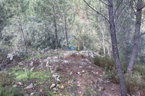 Helårsgrund i Castelo Branco, Castelo Branco, Castelo Branco - € 29.000 | Ref: 124022 - foto 11