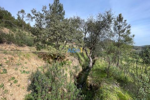 Helårsgrund i Castelo Branco, Castelo Branco, Castelo Branco - € 29.000 | Ref: 124022 - foto 15