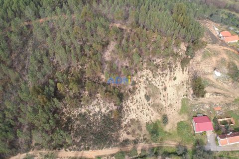 Helårsgrund i Castelo Branco, Castelo Branco, Castelo Branco - € 29.000 | Ref: 124022 - foto 16