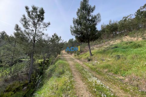 Helårsgrund i Castelo Branco, Castelo Branco, Castelo Branco - € 29.000 | Ref: 124022 - foto 17