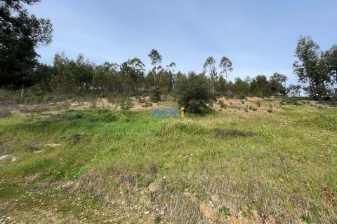 Helårsgrund i Castelo Branco, Castelo Branco, Castelo Branco - € 29.000 | Ref: 124022 - foto 18