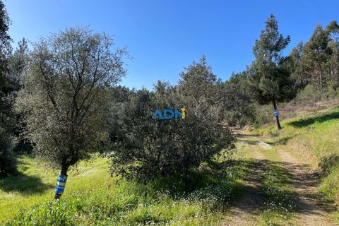 Helårsgrund i Castelo Branco, Castelo Branco, Castelo Branco - € 29.000 | Ref: 124022 - foto 19