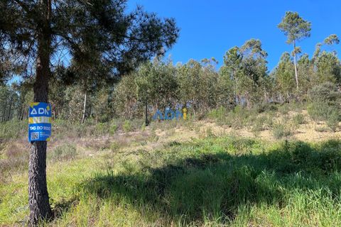Helårsgrund i Castelo Branco, Castelo Branco, Castelo Branco - € 29.000 | Ref: 124022 - foto 20