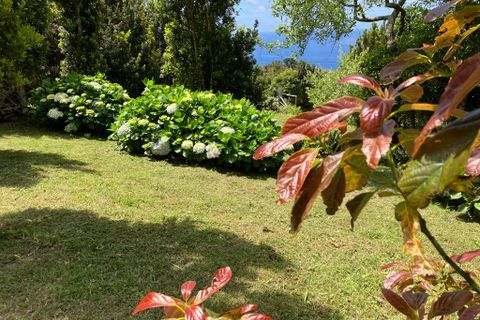 Ruinere i Horta, Faial, Horta - € 110.000 | Ref: 374230031 - foto 7